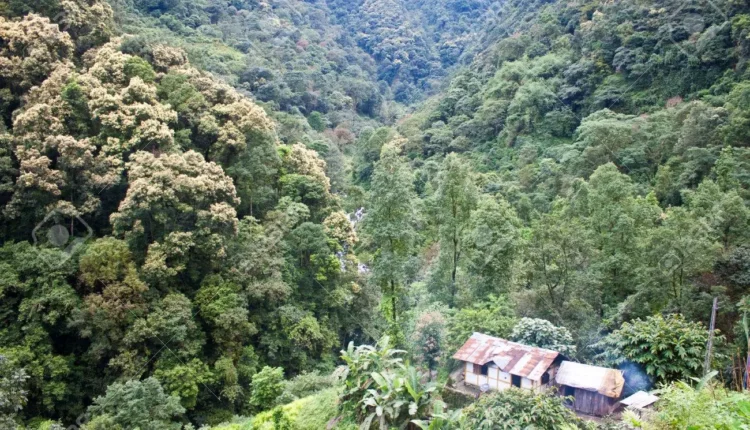 33687021 small village house in a jungle sikkim india 750x430