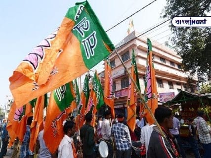 BJP Flag k