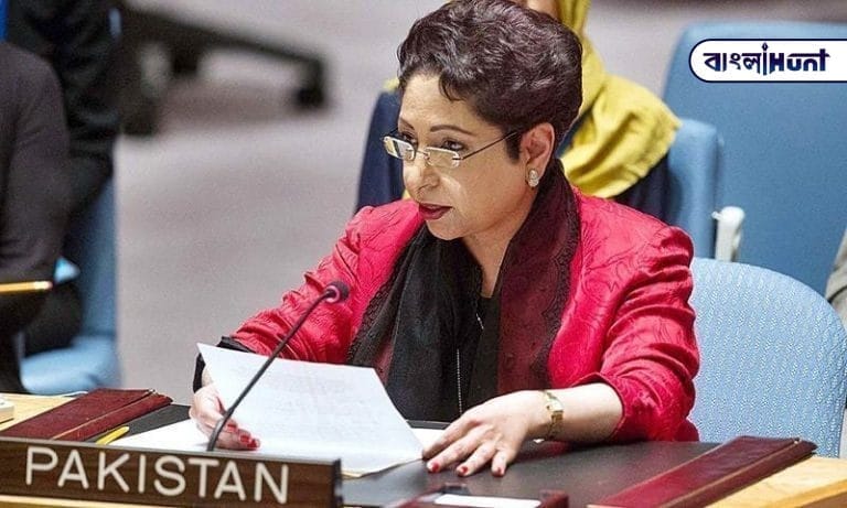 Maleeha Lodhi in UN 1 768x461