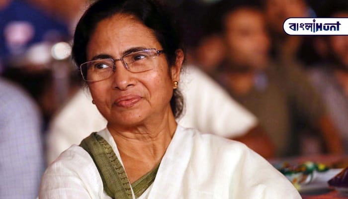 815439 mamata zee