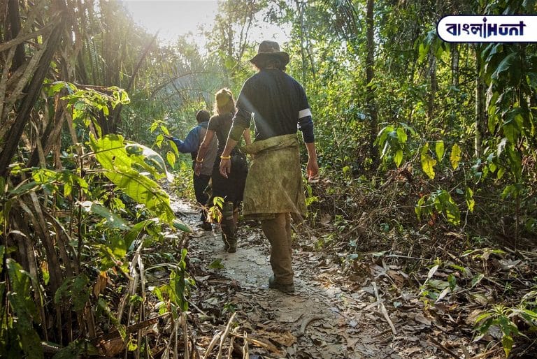 Amazon hike brazil 1fae1ab99713