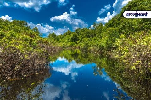 Brasil amazon shutterstock 318609347