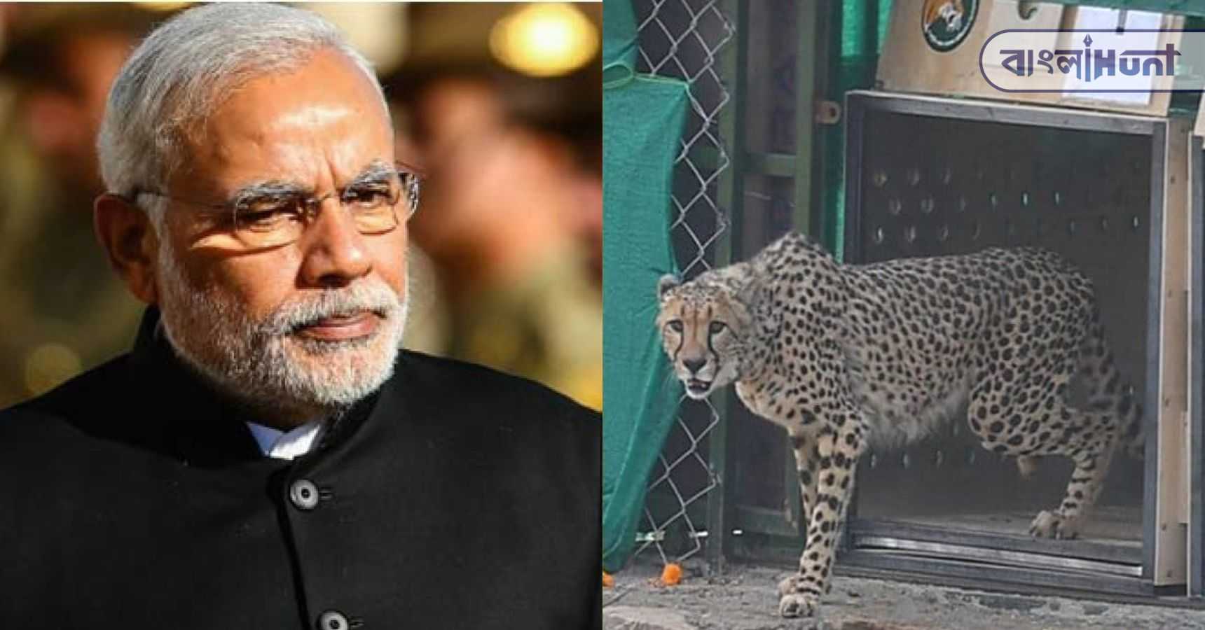 Modi
