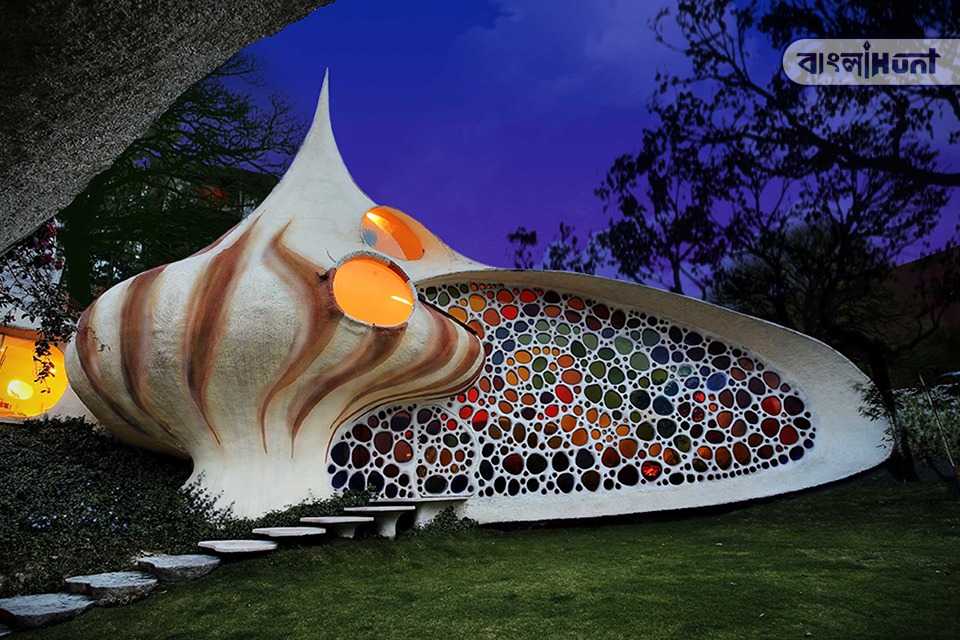 Nautilus Giant Seashell House