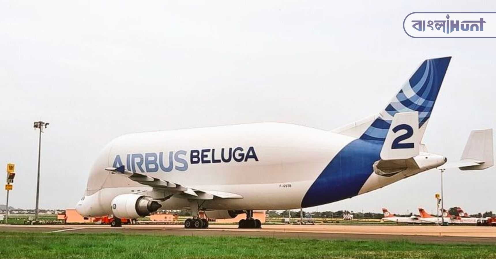 beluga airbus