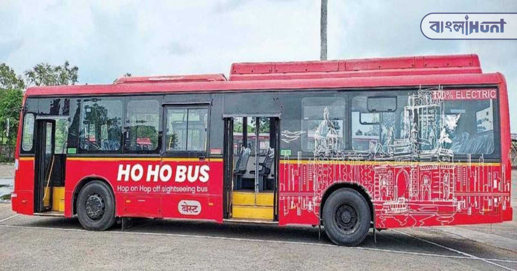 Hoho bus 