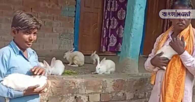 Sitaram rabbit