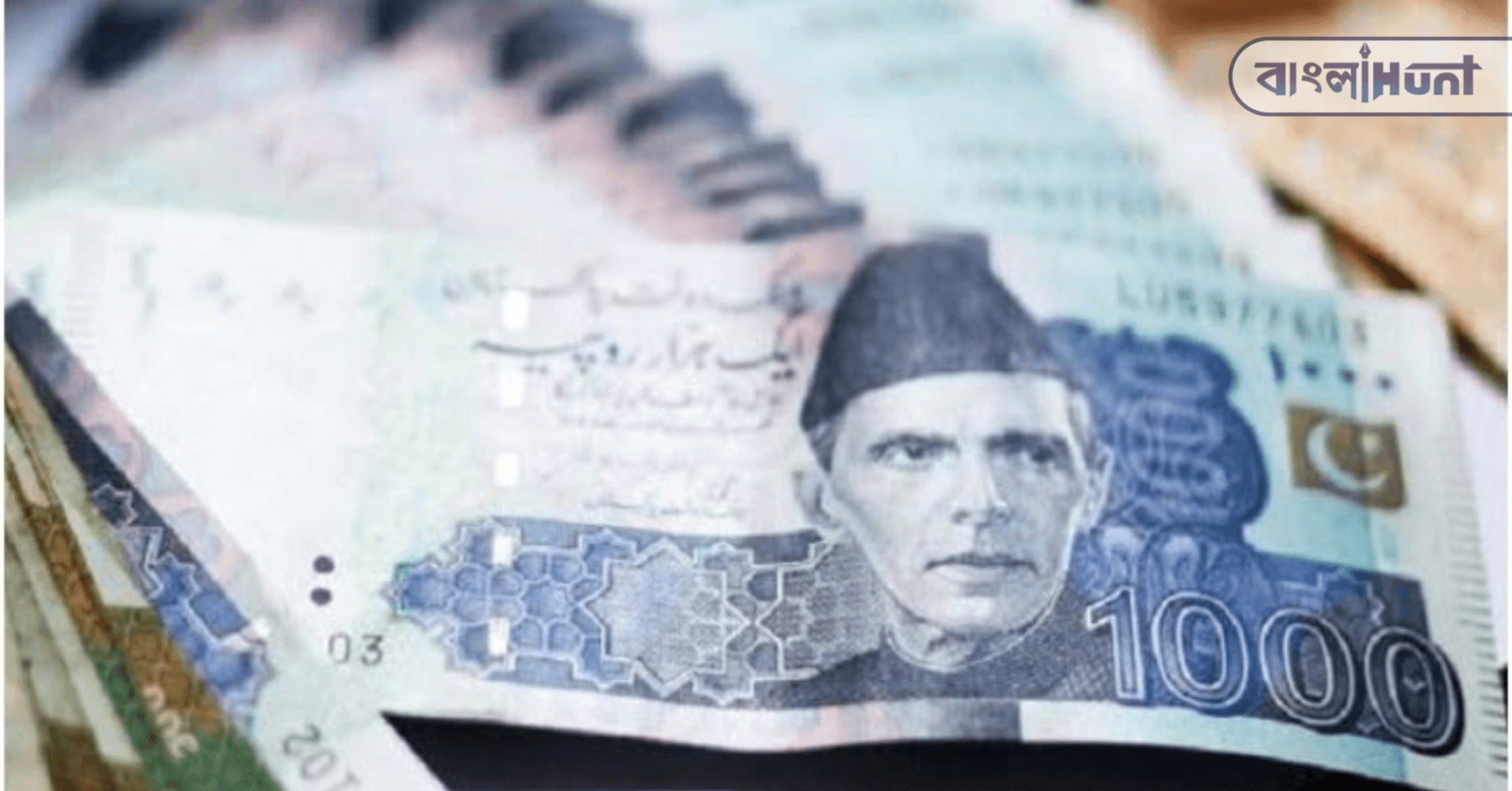 Pakistan money 2