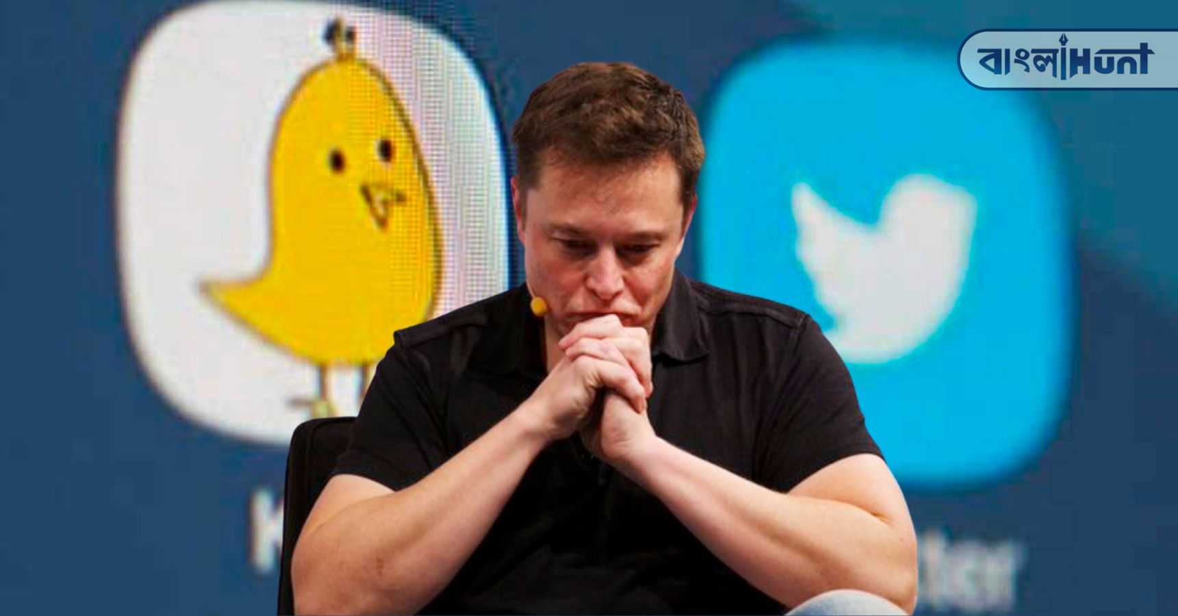 twitter koo musk