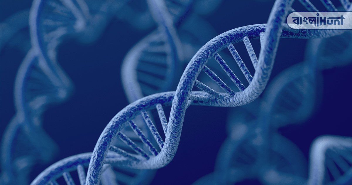 double helix gene changes sm