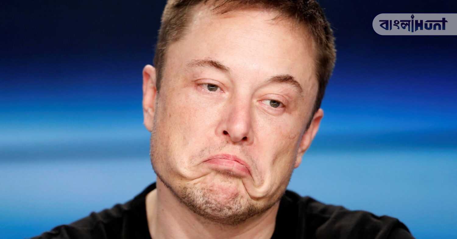 elon musk (3)