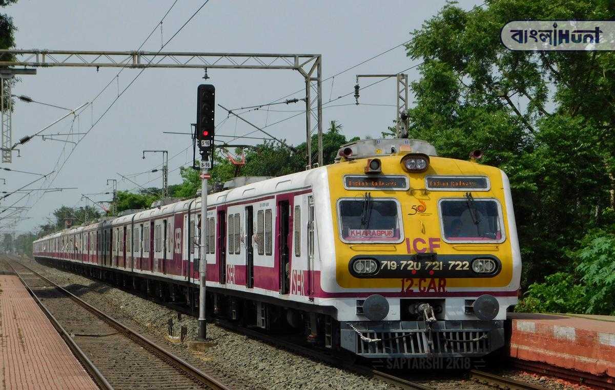 emu train