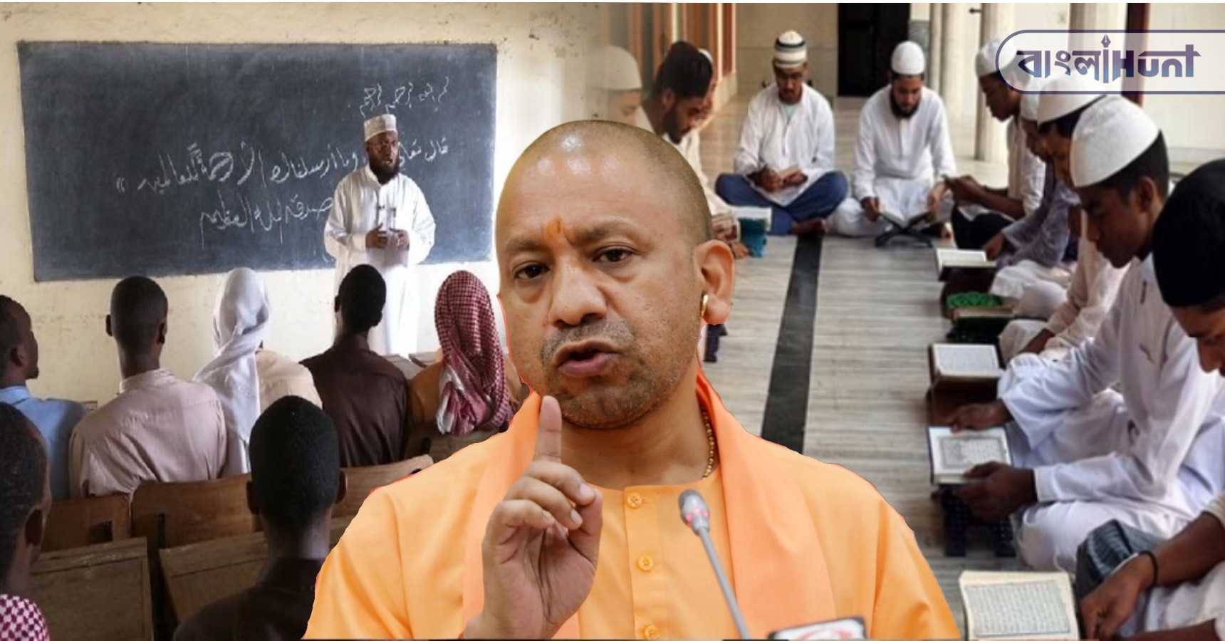 yogi