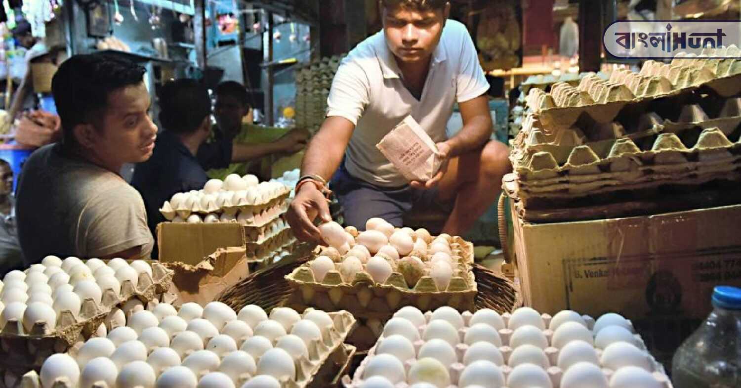  This time the price of eggs has increased 