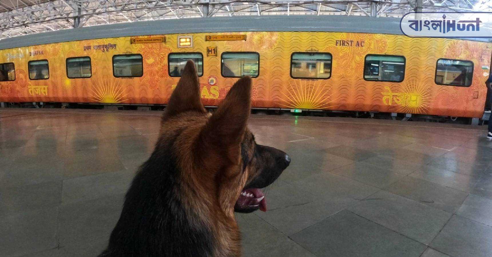 indian railways pet