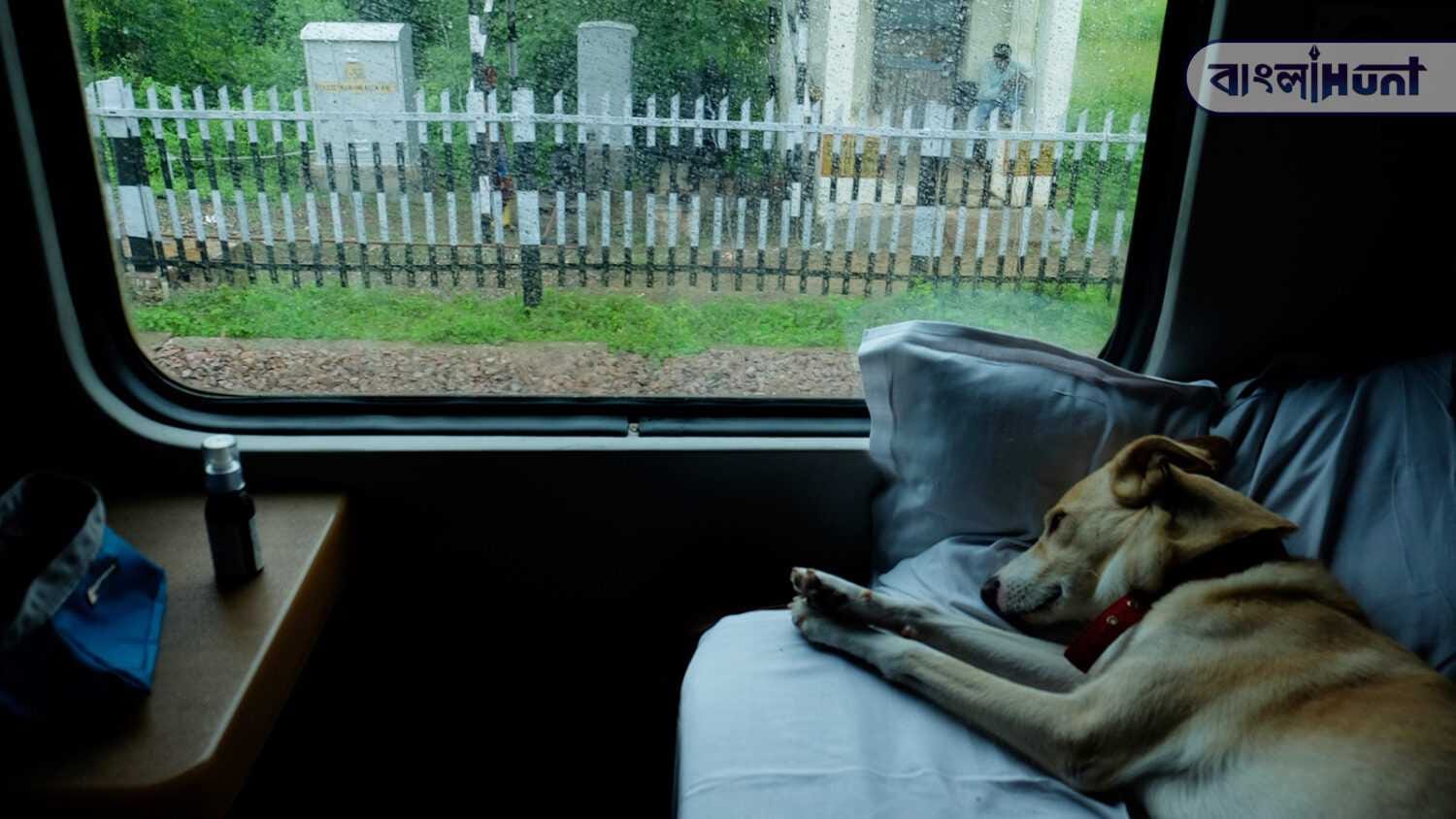 indian railways pets