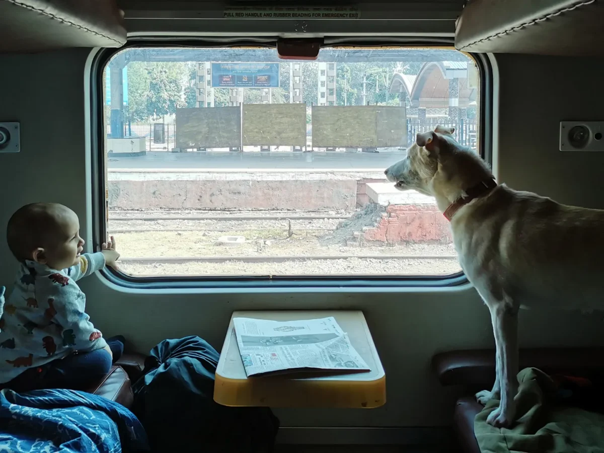 Indian Railways Pets