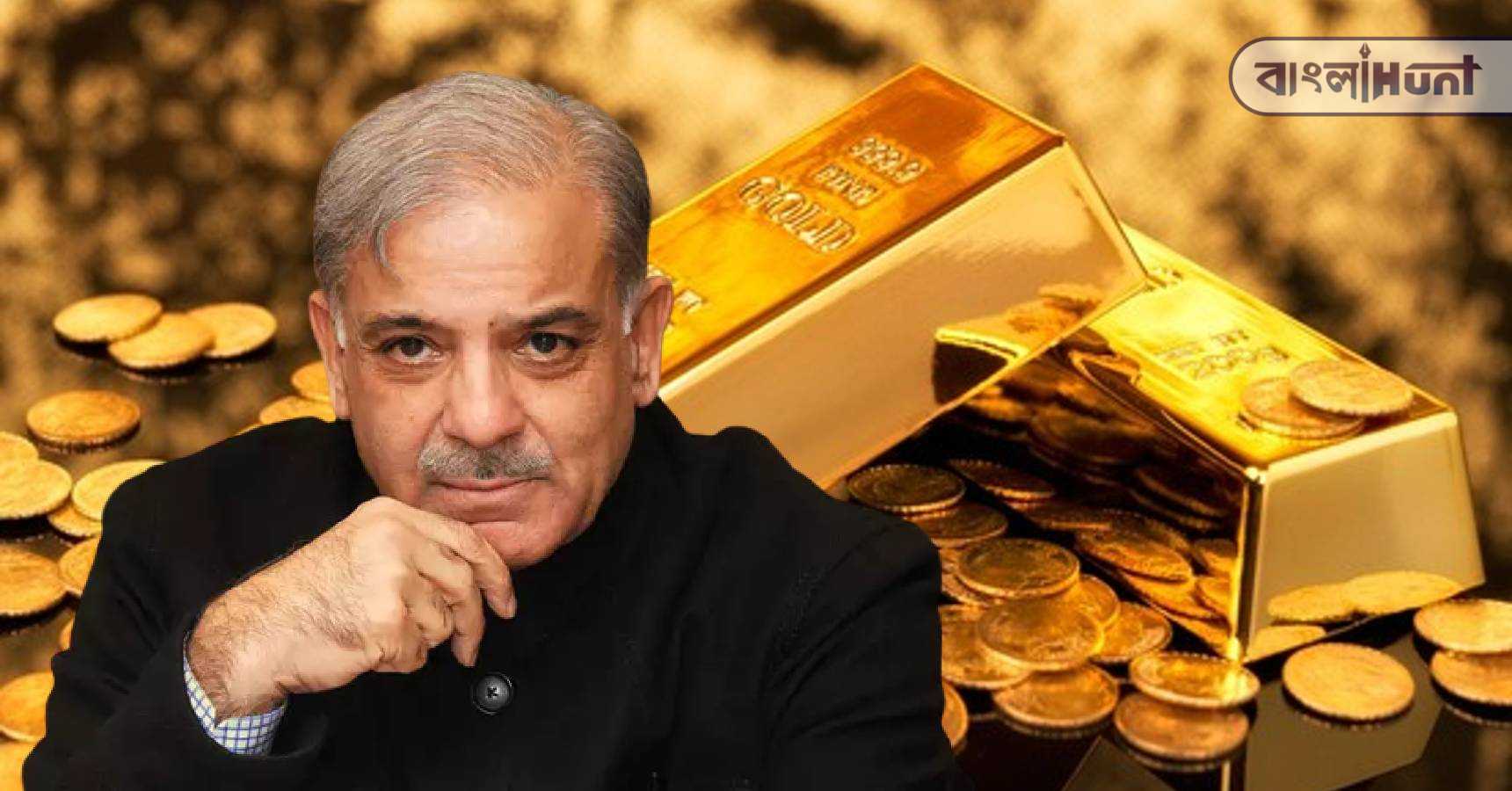 shahbaz sharif wealth