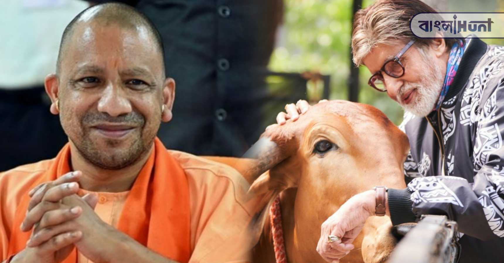 yogi amitabh