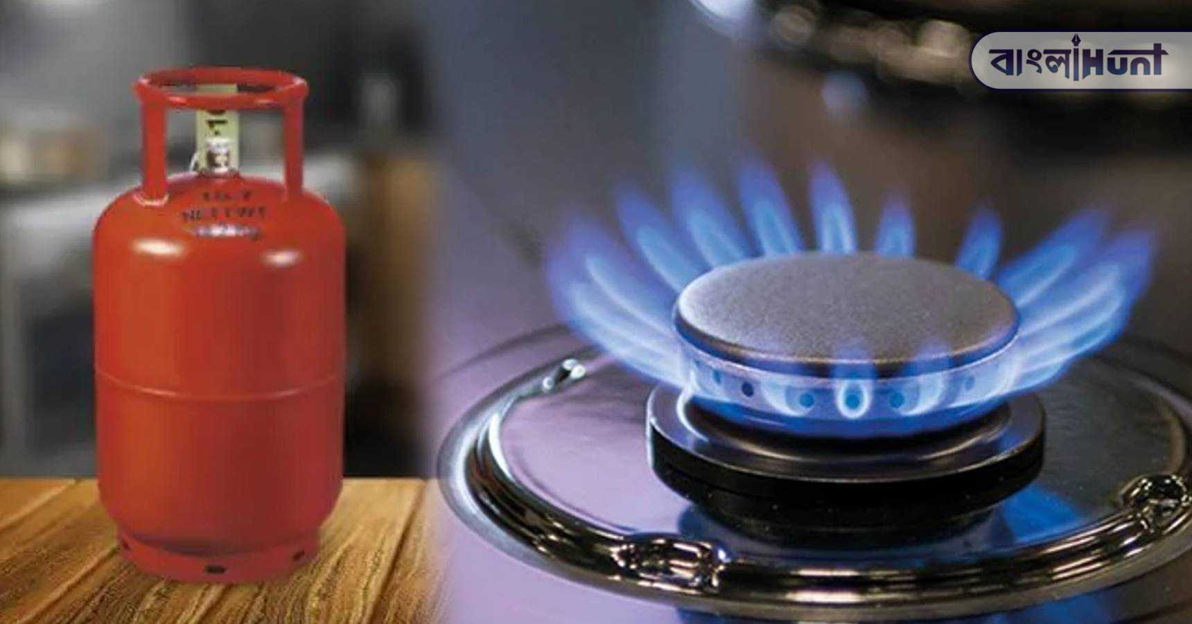 government ban gas stove