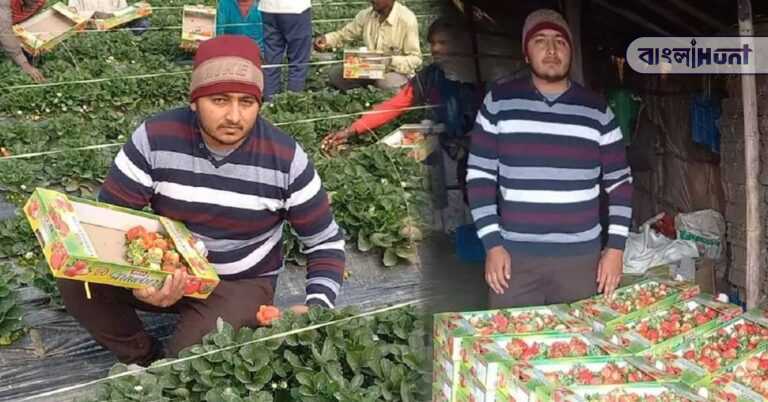 haryana farmer