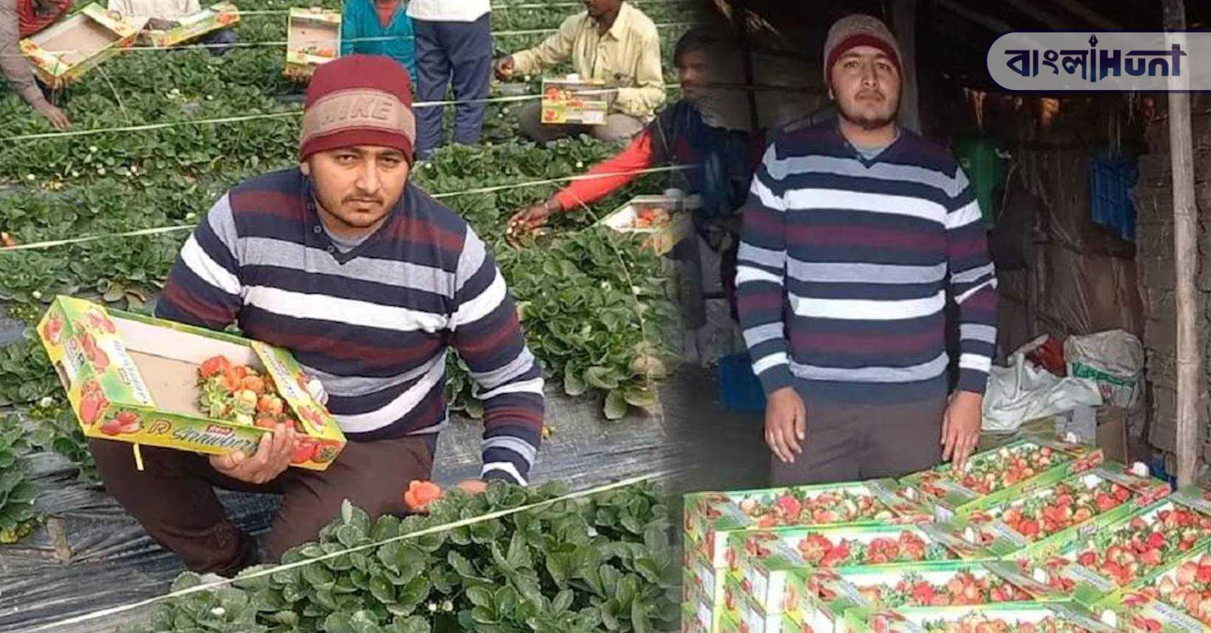 haryana farmer