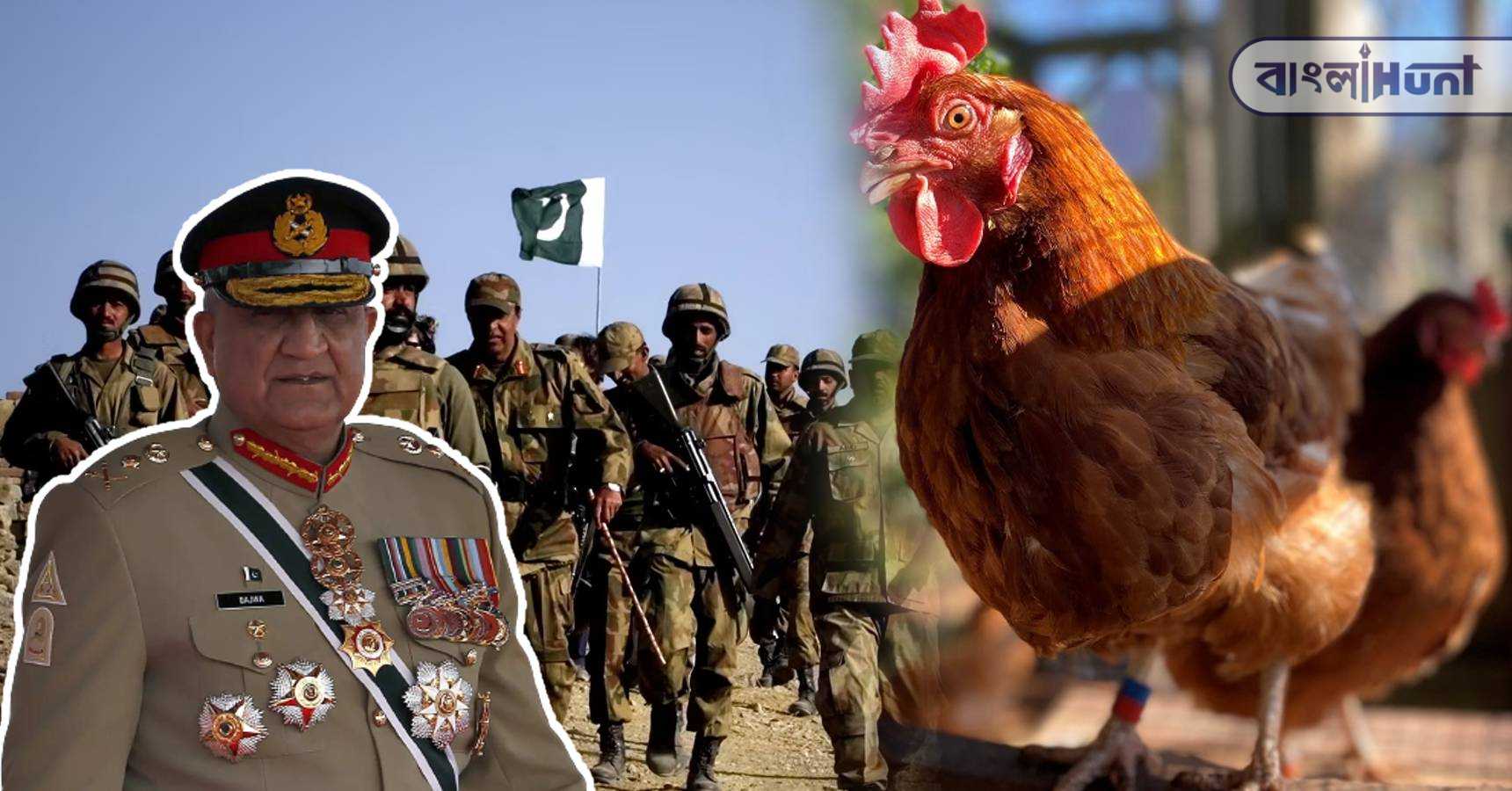 pakistan army hen