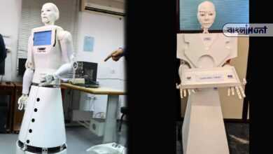 robot nurse
