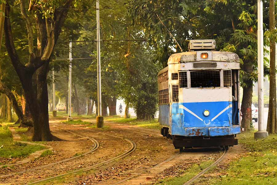 Tram Government of West Bengal