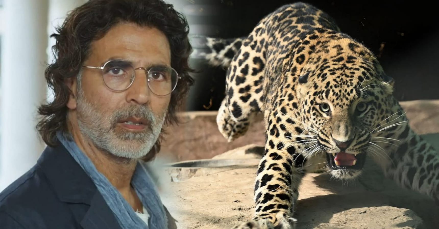 akshay leopard