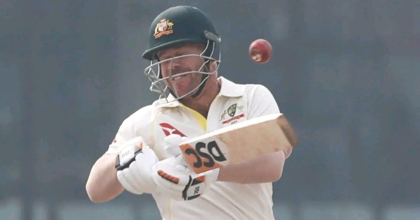 david warner concussion