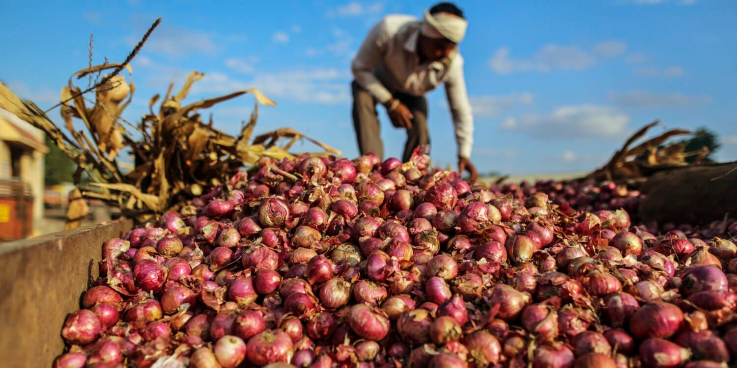 Onion Farmer India