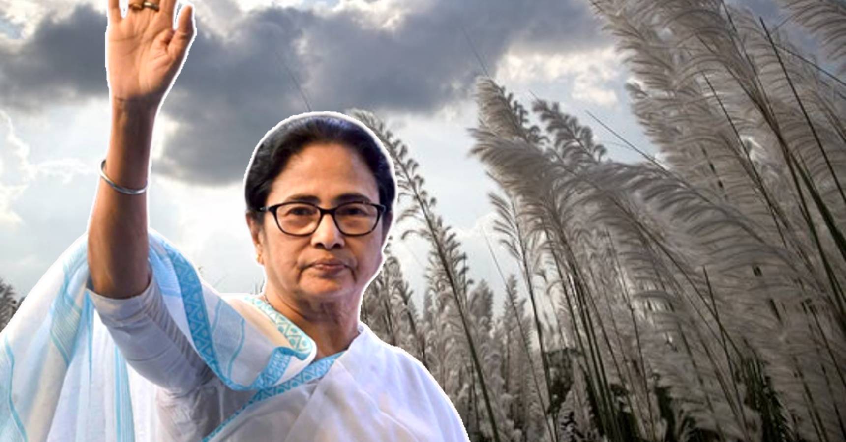 mamata kashful