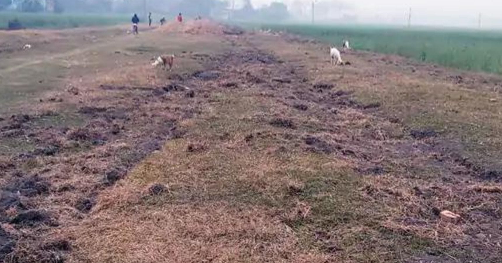 railway track stolen in bihar
