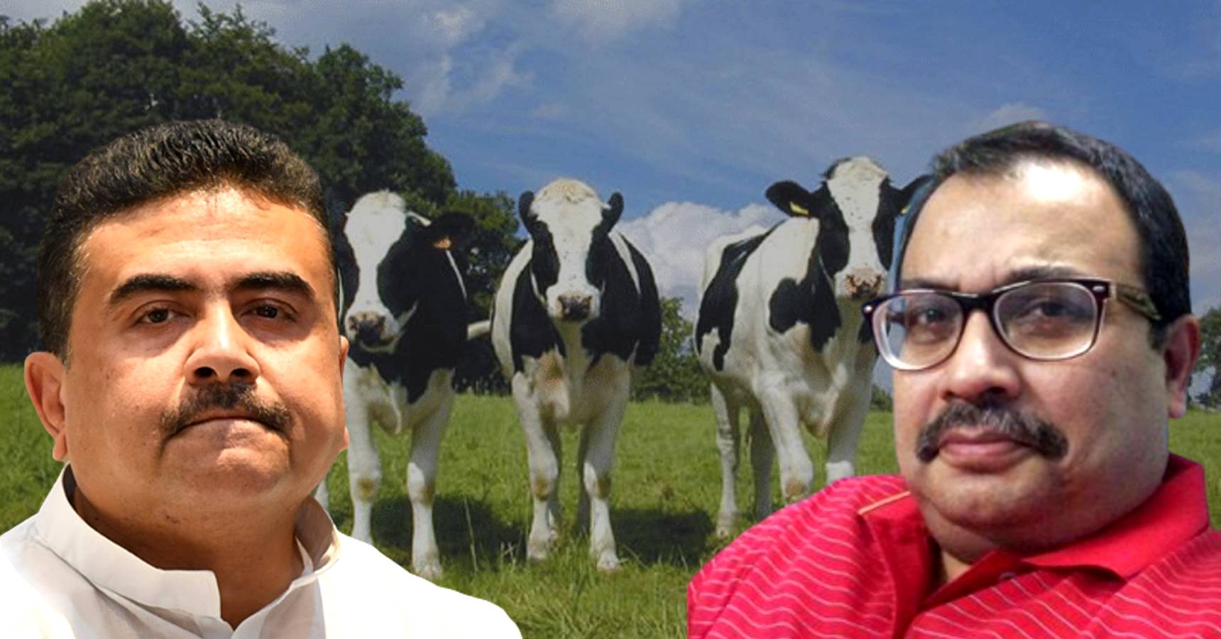 suvendu, kunal, cow