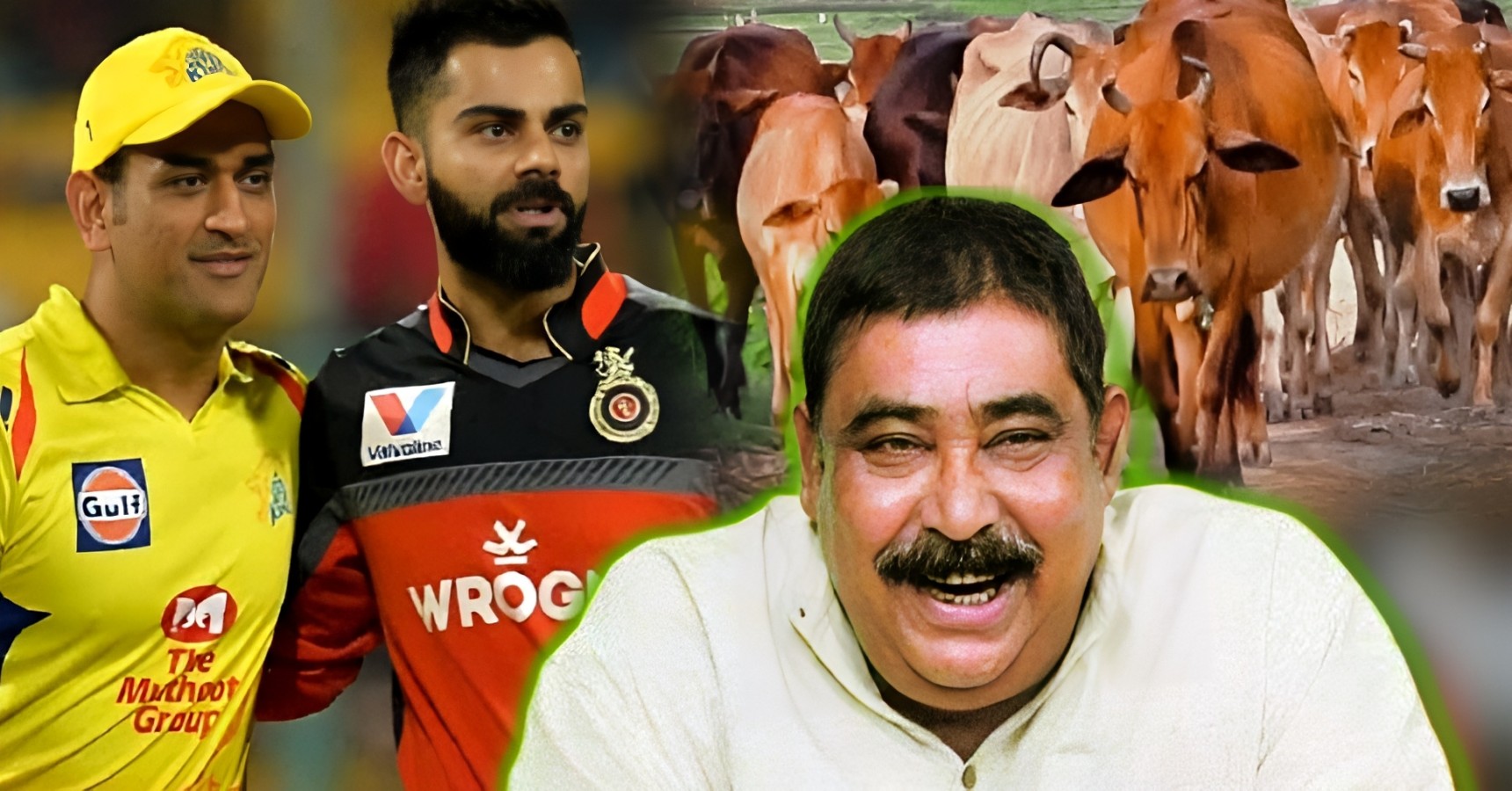 anu cow ipl