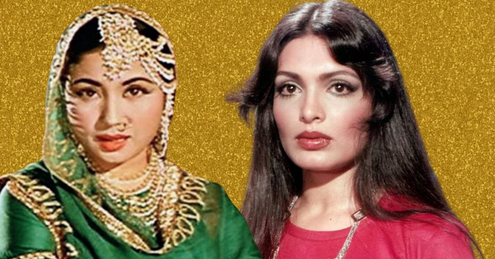 parveen meena