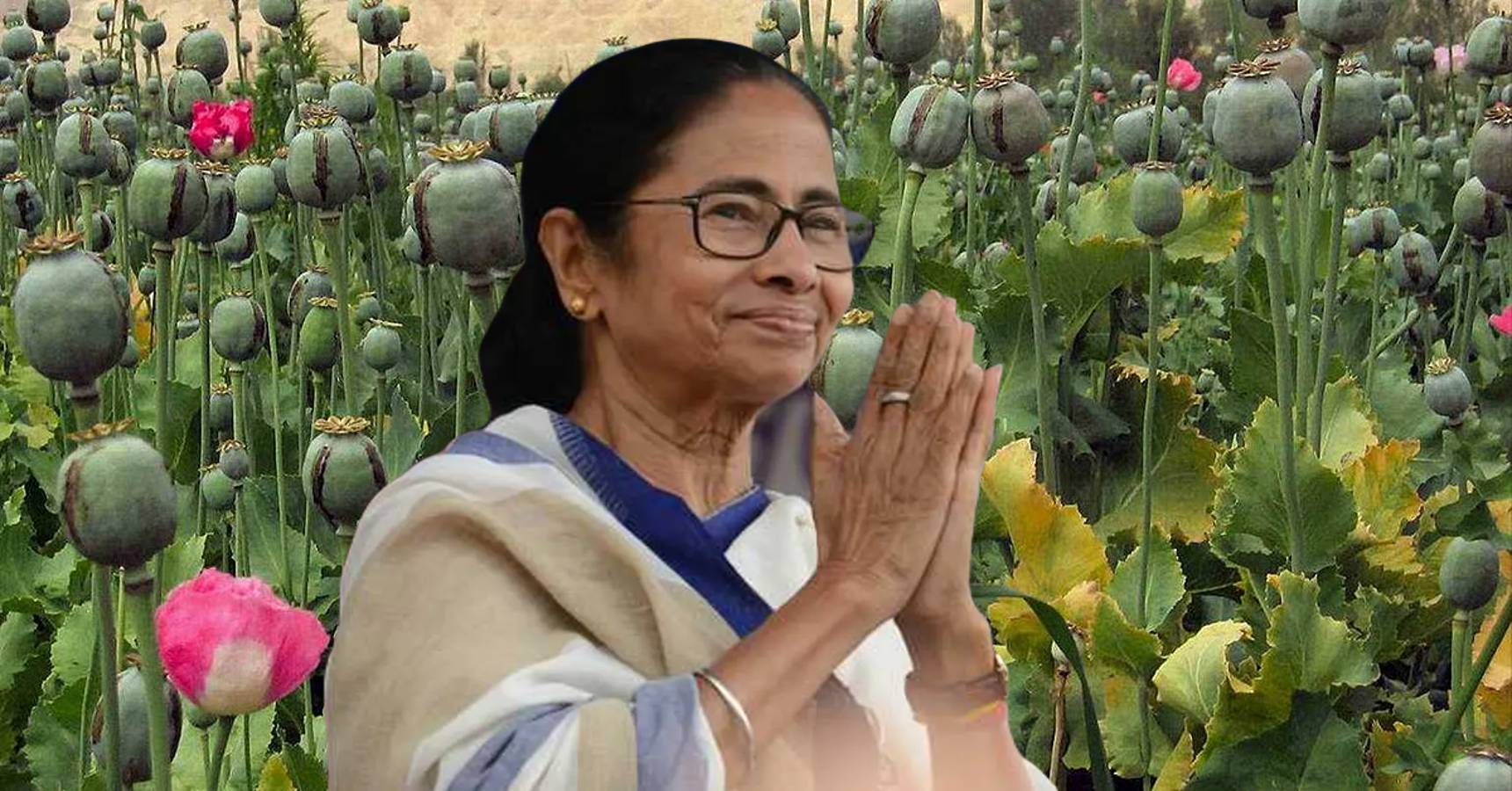 mamata