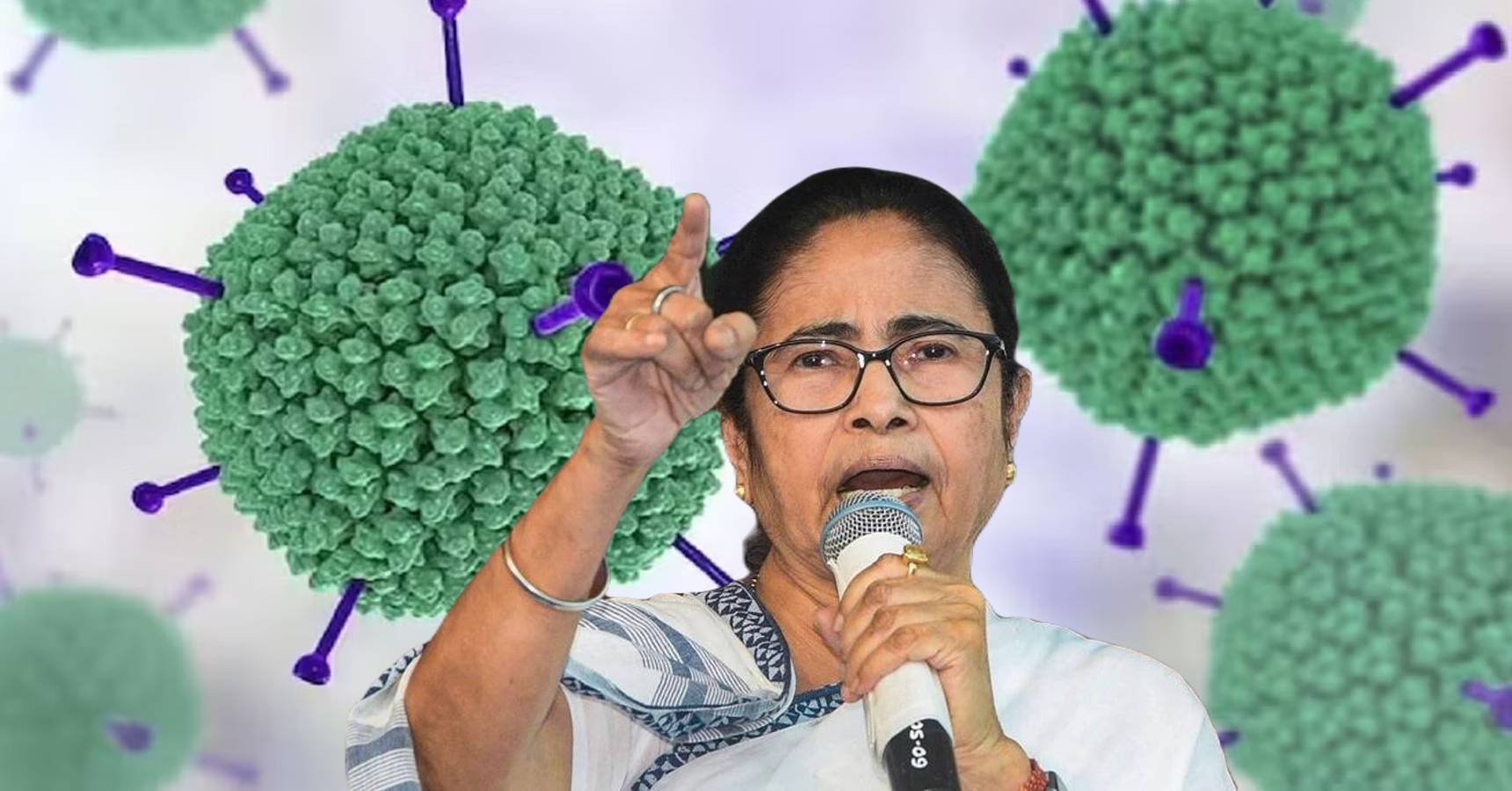 mamata aedenovirus