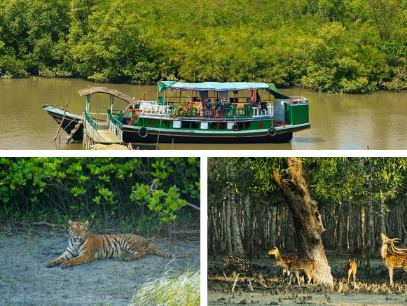 sundarban boat tour