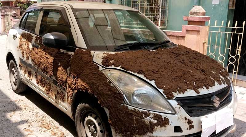 cowdung car 