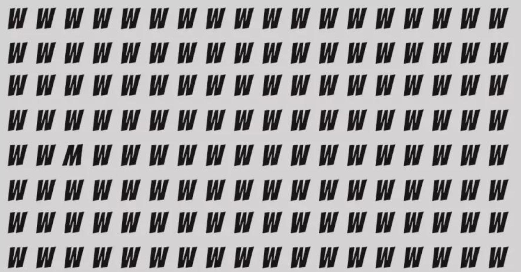 optical illusion (24)