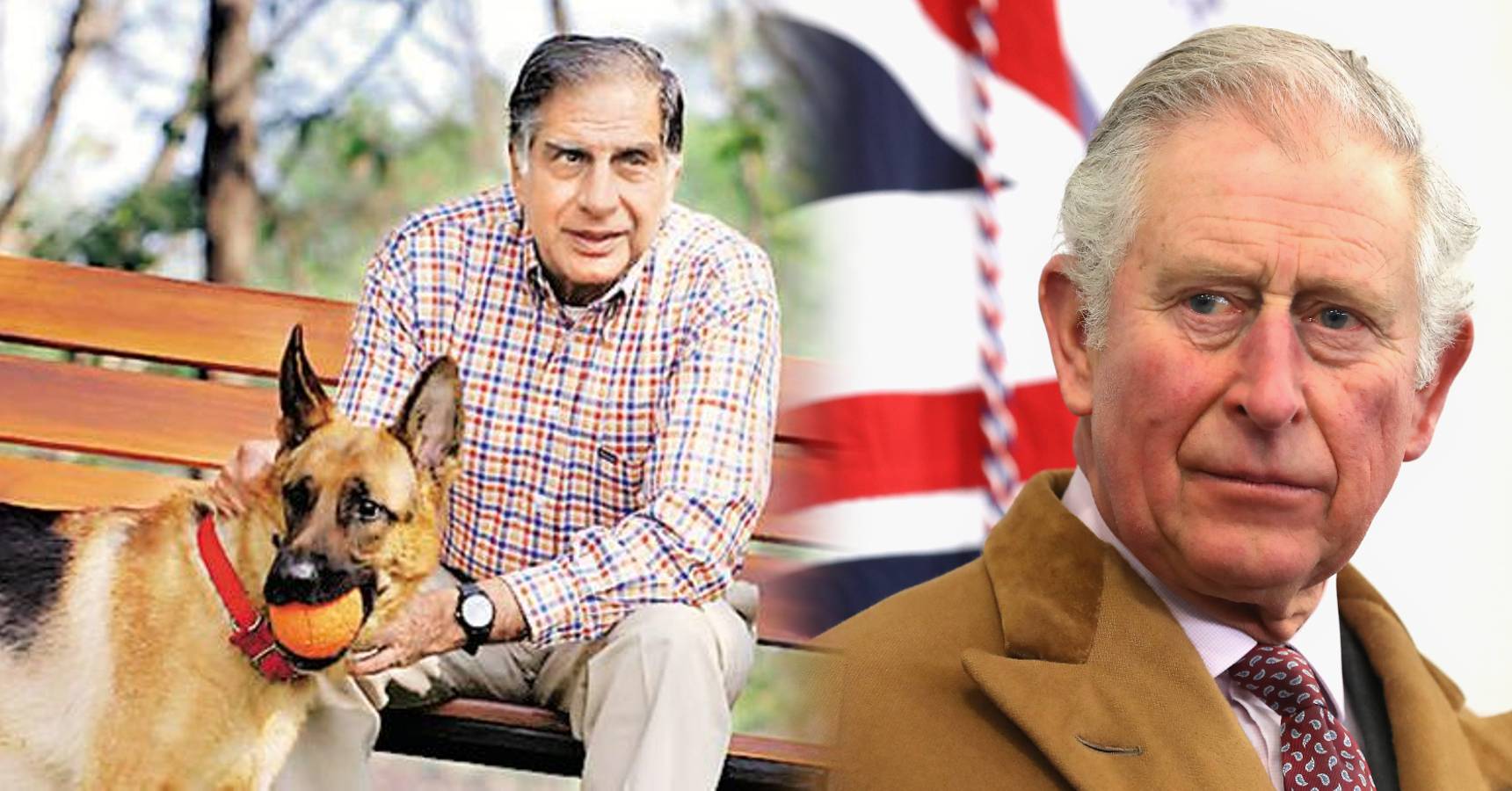 ratan tata dog