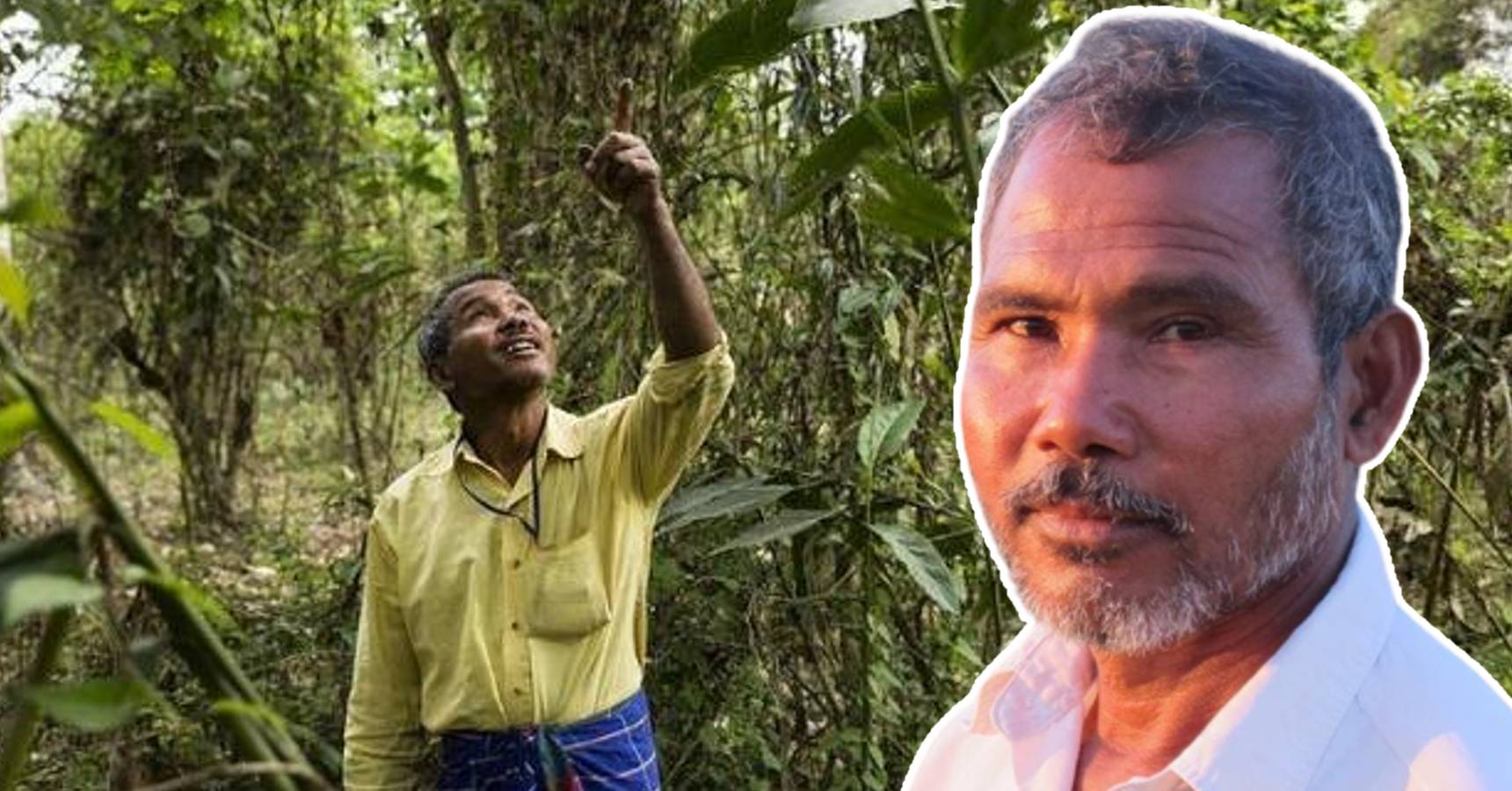 This person planted 4 million trees alone and created a forest 