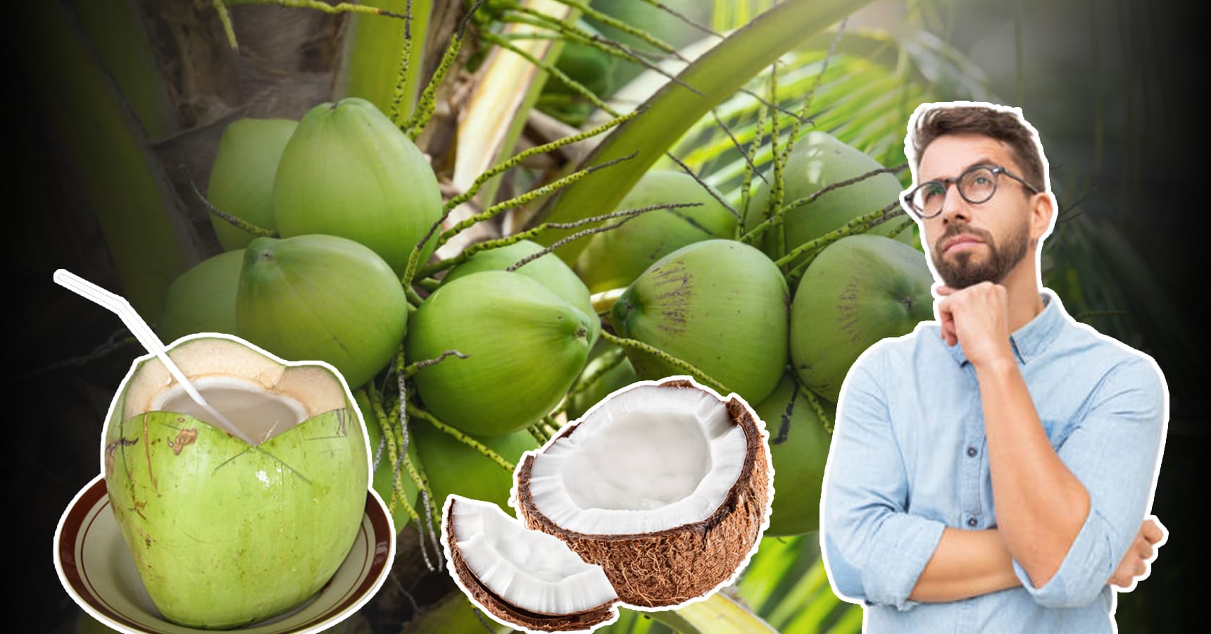 coconut news