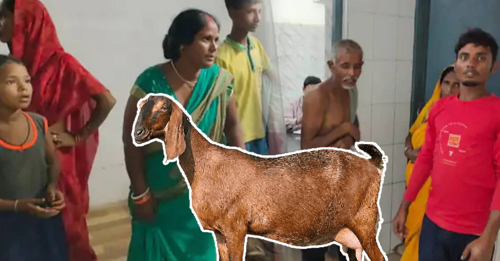 Bloody conflict between two neighbors for goat