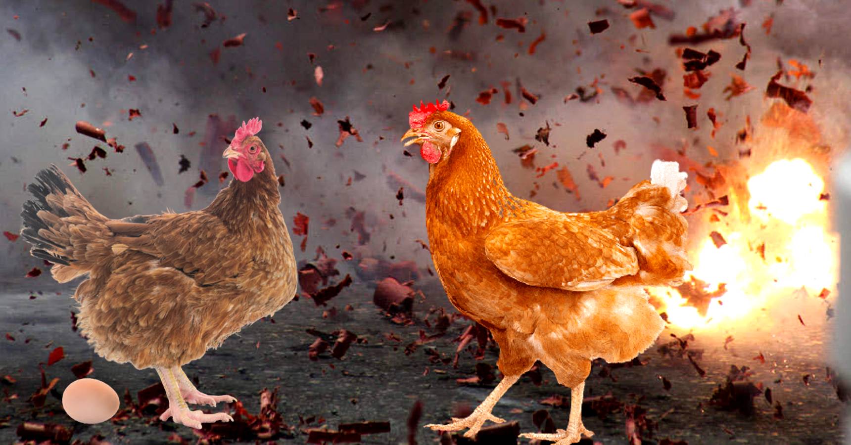 hen blast