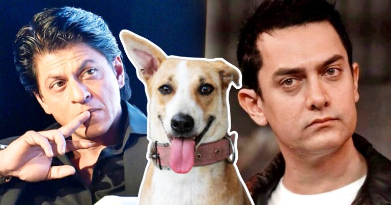 aamir khan once named his dog shahrukh