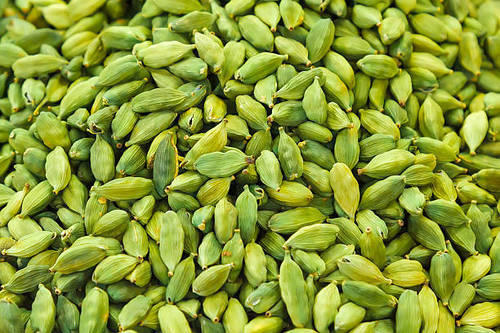 If you start cardamom cultivation in this way, you will get huge profits