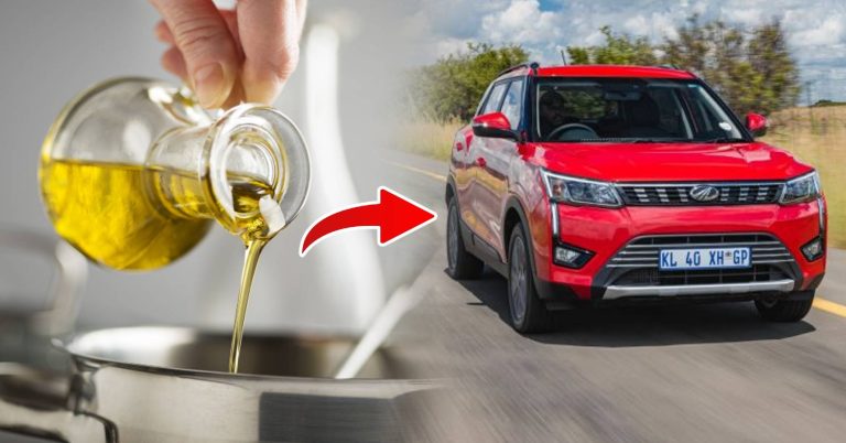 The young man has been driving safely for 10 years with cooking oil